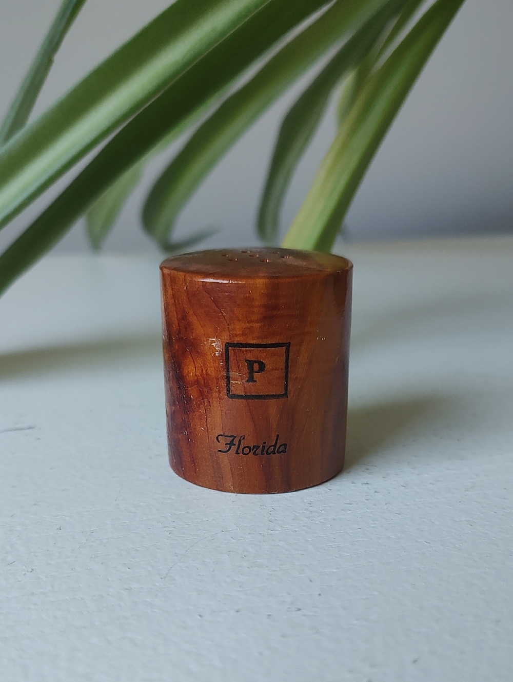Vintage Souvenir Florida Pepper Shaker